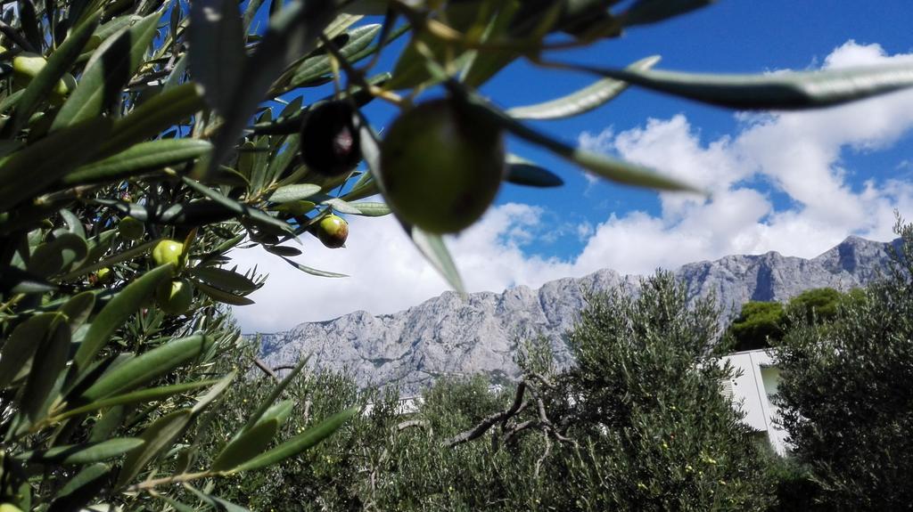 Apartmani Sabic A6 Makarska Exteriör bild